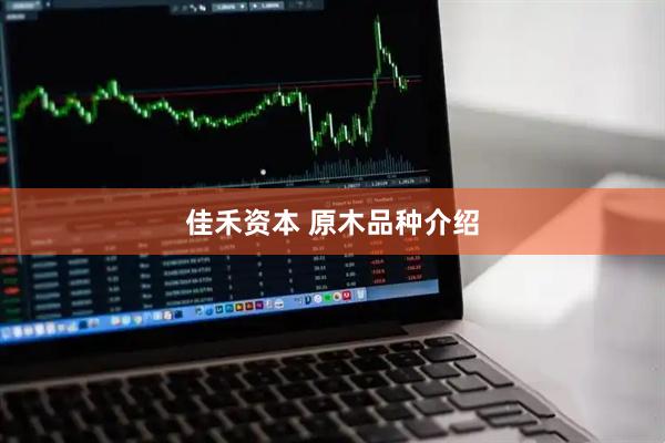佳禾资本 原木品种介绍
