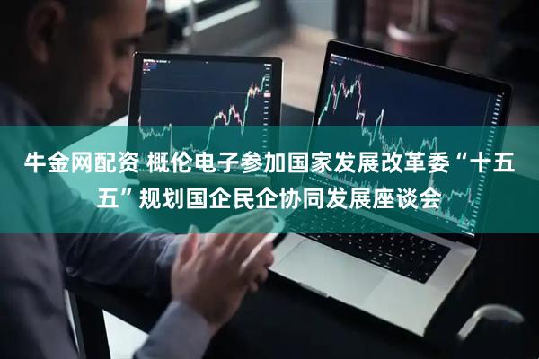 牛金网配资 概伦电子参加国家发展改革委“十五五”规划国企民企协同发展座谈会