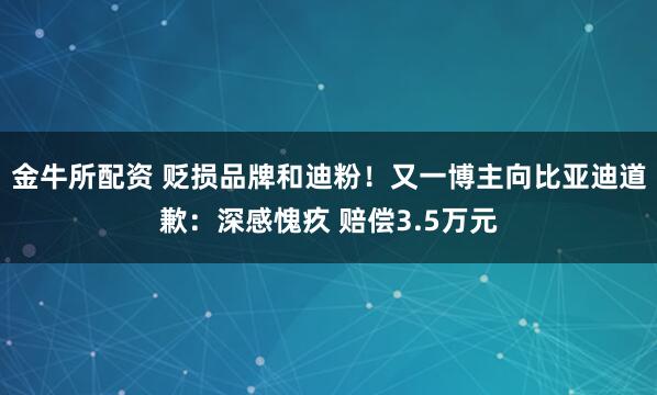 金牛所配资 贬损品牌和迪粉！又一博主向比亚迪道歉：深感愧疚 赔偿3.5万元